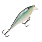  Rapala Scatter Rap Shad SCRS07-BBH