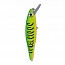 ������ Storm DOOM BELL SHAD-O DBS13-484