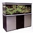 �������� Anubias D-550F 160� T8 �����-�����������