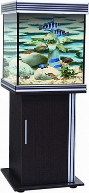 �������� Anubias B-650M 240� T5 ���