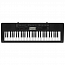 ���������� Casio CTK-3200