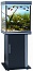 �������� Anubias B-550M 170� T5 ������