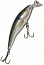 ������ Rapala SHALLOW TAIL DANCER STD07-SD