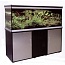 �������� Anubias D-1500F 414� T5 ����������-������
