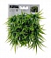 ��������� ����� ���  ���������  Fluval  Chi