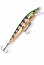������ Rapala Husky Jerk HJ10-GP