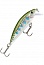 ������ RAPALA X-RAP COUNTDOWN XRCD05-RT