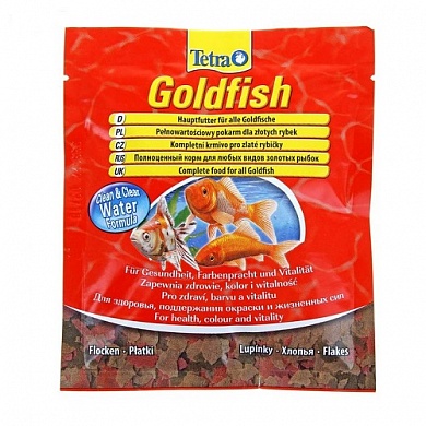 Goldfish 12  