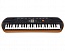 ������� c��������� Casio SA-76
