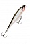 ������ Rapala BX MINNOW BXM10-S
