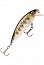 ������ Rapala X-Rap Countdown XRCD07-MD