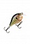 ������ RAPALA SCATTER RAP CRANK BG